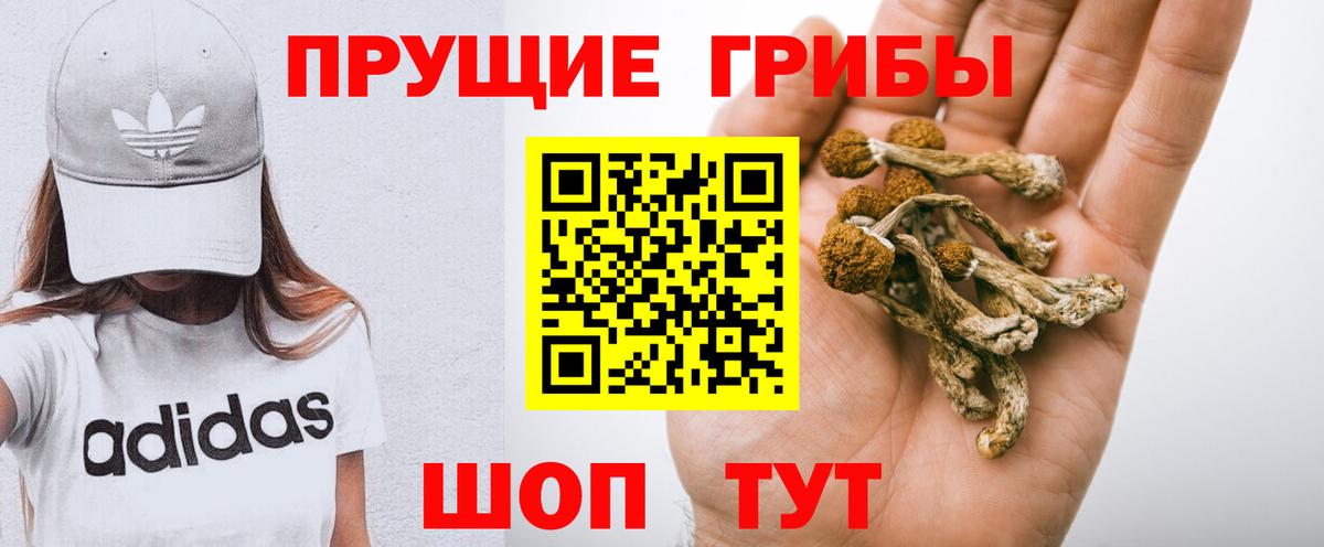 Псилоцибиновые грибы GOLDEN TEACHER  Вход с VPN  Заволжье  Галлюциногенные грибы MAGIC MUSHROOMS 
